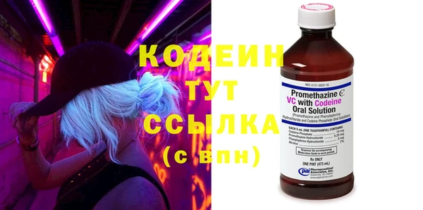 молекула духа Валдай