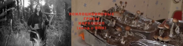 кокс Карпинск
