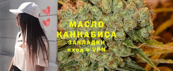 индика Киренск