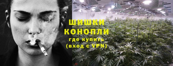 бошки Каменка