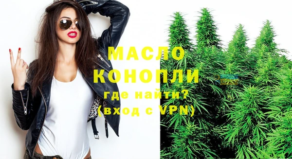 индика Киренск