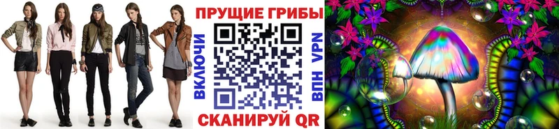 купить наркотики сайты  кракен вход  Галлюциногенные грибы Psilocybe  Кировск 