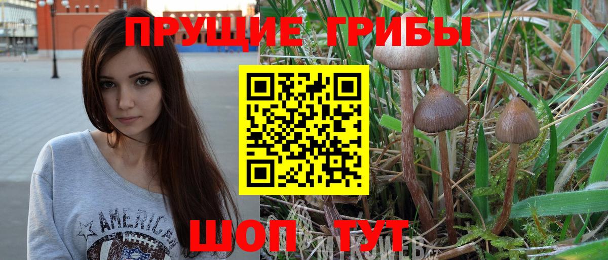 Галлюциногенные грибы мицелий  Кировск 